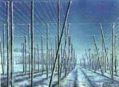 Hopfengarten Winter -Angerer der Ältere- - . Angerer der Ältere - Array auf Array - Array - Hopfengarten Winter -Angerer der Ältere- - . Angerer der Ältere - Array auf Array - Array -