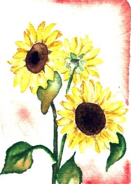 Sunflower 4 -Lutz Erler- - Lutz Erler - Array auf Array - Array - Sunflower 4 -Lutz Erler- - Lutz Erler - Array auf Array - Array -
