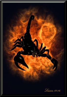 Black Scorpio (2004) Laurin - Laurin - auf - Array - Black Scorpio (2004) Laurin - Laurin - auf - Array -