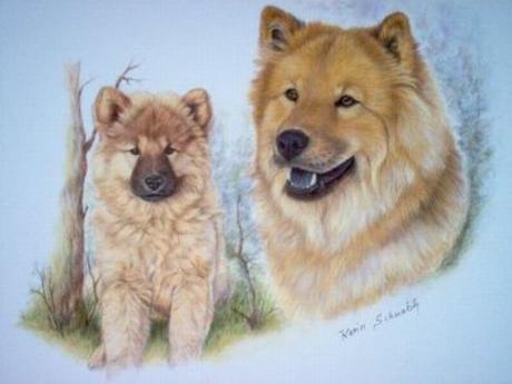 Eurasier BELLA LUNA als Welpe und heute - Karin Schnabl - Array auf  - Array - 