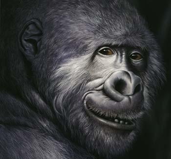 Gorilla - Carl W. Röhrig - Carl W. Röhrig - auf - Array - Gorilla - Carl W. Röhrig - Carl W. Röhrig - auf - Array -