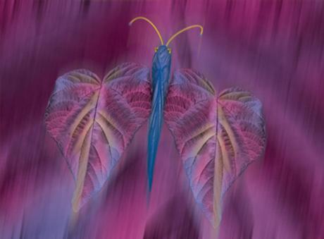 01-315 Severus (2005) - Ulrich Hohloch - auf - Array - 01-315 Severus (2005) - Ulrich Hohloch - auf - Array -