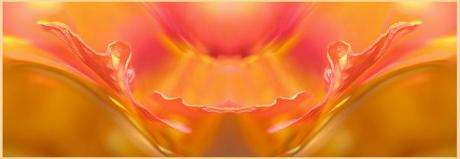 Praise (2006) - Christine Gross -  auf  - Array - 