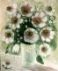---White anemones ---White anemones