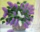 ---Lilac in the basket ---Lilac in the basket