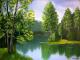 ---See im Wald ---See im Wald