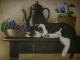 Stillleben mit Schlafender Katze Stillleben mit Schlafender Katze