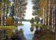 ---Herbstliche Birken ---Herbstliche Birken