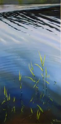 Wassepflanzen - Wolfgang Rose - Array auf - Array - Array Wassepflanzen - Wolfgang Rose - Array auf - Array - Array