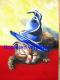 Katze Sleepy Wizard - Sonja Lowe - Ãl auf Leinwand - Katzen - Katze Sleepy Wizard - Sonja Lowe - Ãl auf Leinwand - Katzen -