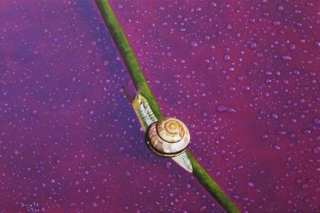 SCHöNe strECKE - dunjate Kunst in Acryl - Array auf Array - Array - Array SCHöNe strECKE - dunjate Kunst in Acryl - Array auf Array - Array - Array