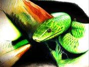 green snake - Torsten Matthes - Array auf Array - Array - Array green snake - Torsten Matthes - Array auf Array - Array - Array