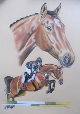 Collage, Pferd im Portrait und Sprung - Gaby Lukas - Array auf Array - Array - Collage, Pferd im Portrait und Sprung - Gaby Lukas - Array auf Array - Array -