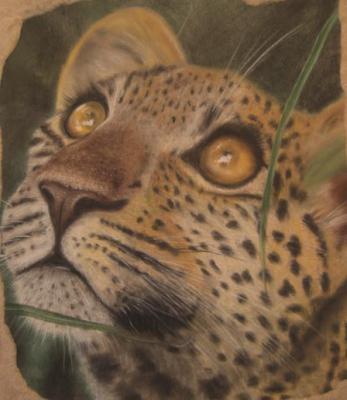 Leopard - simone finster - Array auf Array - Array - Array Leopard - simone finster - Array auf Array - Array - Array