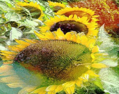 Sonnenblumen - Helmut Englisch - Jeremias Salse - Array auf - Array - Sonnenblumen - Helmut Englisch - Jeremias Salse - Array auf - Array -