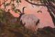  - Marina Schneider - Acryl auf  - Wildtiere-Berge-See-Abend - Naturalismus