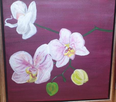 Orchidee - alice lonski - Array auf Array - Array - Orchidee - alice lonski - Array auf Array - Array -