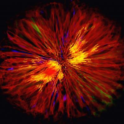 Flower Explosion - Reimo Schmalstich - Array auf - Array - Flower Explosion - Reimo Schmalstich - Array auf - Array -