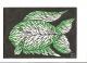 Fisch - Annegret Sigrid Gick - Mischtechnik-Sonstiges-Tempera auf Papier - Fische - Fisch - Annegret Sigrid Gick - Mischtechnik-Sonstiges-Tempera auf Papier - Fische -