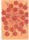 Flower Points - Annegret Sigrid Gick - Mischtechnik-Sonstiges-Tempera auf Papier - Abstrakt-Blumen - Abstrakt Flower Points - Annegret Sigrid Gick - Mischtechnik-Sonstiges-Tempera auf Papier - Abstrakt-Blumen - Abstrakt