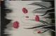 Mohnblumen - Amelia-Nicoleta Nicolaescu-Mutu - Acryl auf  - Mohn - 