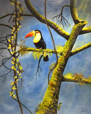 Tucan - Sonia Lanz - Array auf Array - Array - Tucan - Sonia Lanz - Array auf Array - Array -