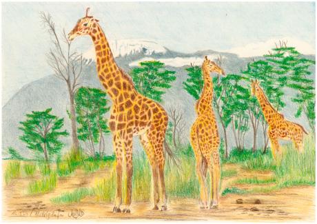 Giraffe-Triologie - Claudia Lüthi - Array auf  - Array - 